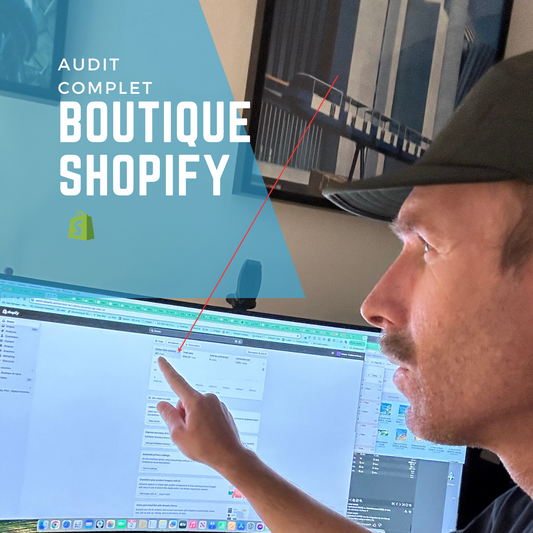 Audit boutique Shopify complet - Forfait 10 heures - catalogue petit à moyen